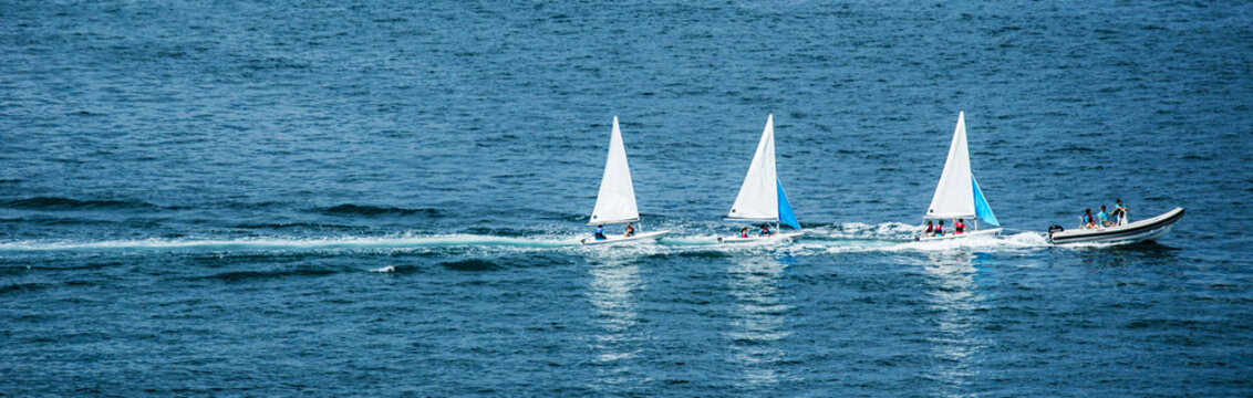 Barche a vela