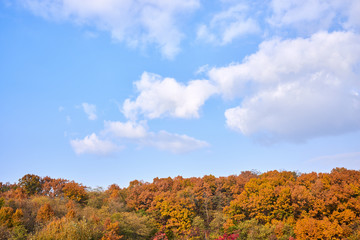 Fototapeta premium blue sky and autumn colors on a mountain