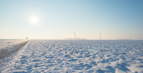 Field covered in snow in winter 
