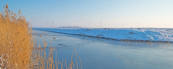 Canal through a snowy landscape in winter 