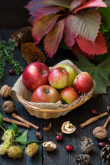 natural blackberry branch with leaves and berries