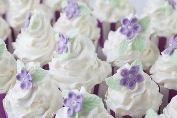 cupcakes ,shalow depth of field