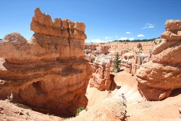 Foto auf Acrylglas Naturpark USA - Bryce-Canyon-Nationalpark (Utah)