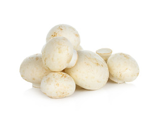 Champignon Isolated on White Background