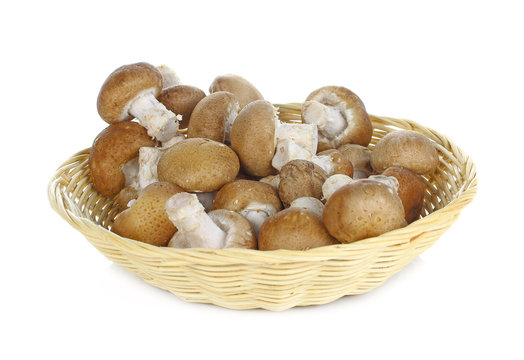 shiitake mushroom in basket isolated on white background