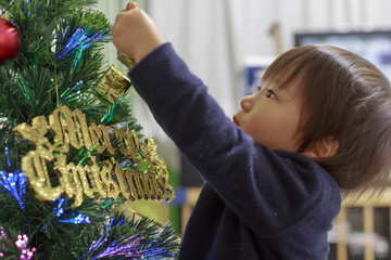 クリスマスの準備