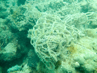 net cover on the coral reef and destroy the coral
