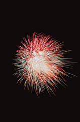 Firework light up to sky by black background