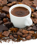 cup of hot chocolate and ingredients, vertical, isolated