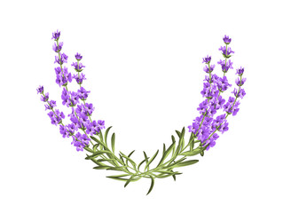 Bunch of lavender flowers on a white background © Kotkoa