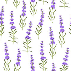 Seamless pattern of lavender flowers.