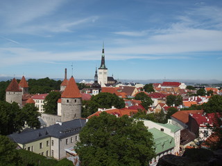Fototapeta na wymiar Blick vom Domberg auf Tallinn