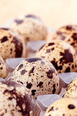Group of quail eggs on wooden base