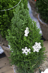 Miniature Christmas Tree with Snowflake Garland