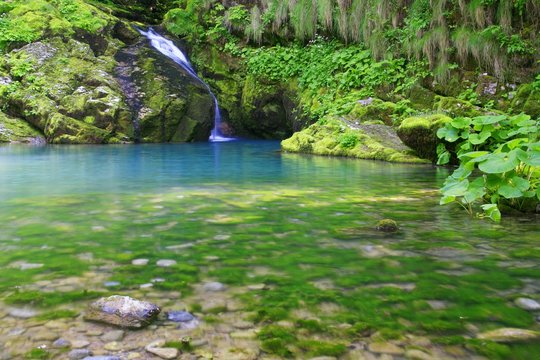 Beautiful Waterfall In Green Ambient 