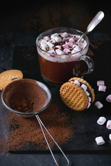 Hot chocolate with marshmallows