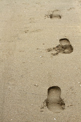砂浜・足跡