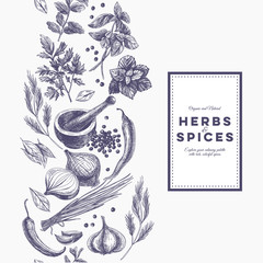 Vector background with hand drawn herbs and spices.  - obrazy, fototapety, plakaty