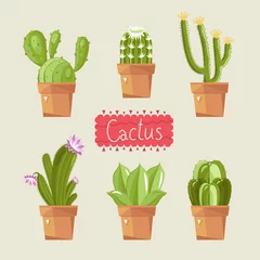 Deurstickers Cactus in pot Mooie kamerplanten.