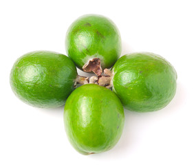 Tropical fruit feijoa Acca sellowiana
