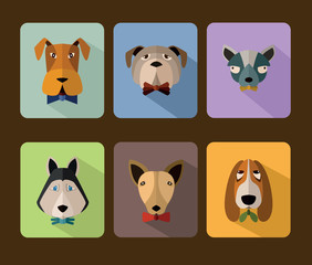 Dogs avatar icon set
