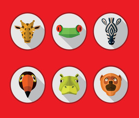 Tropical animals icons.