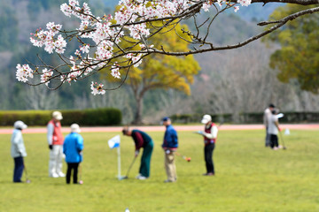 桜の木の下でゲートボールを楽しむシニアの人々