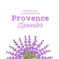 Wreath of lavender flowers.