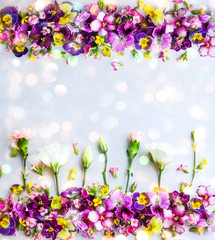 Obraz na płótnie Canvas Background of flowers