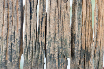 Vintage old wood background texture