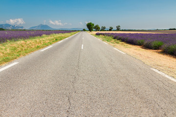 view of country road