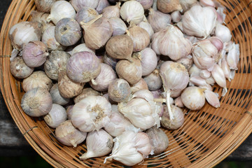 Garlic in basket.