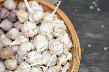 Garlic in basket.