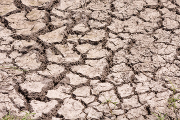 Sunny dry cracked ground. Ngorongoro, Tanzania

