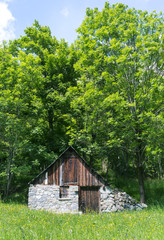 Obraz premium Little cottage in the Alps