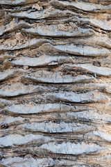 Concrete ornament texture