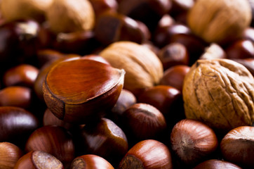 Background of various nuts