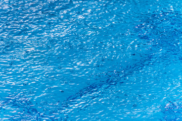 Quiet blue expanse of water.