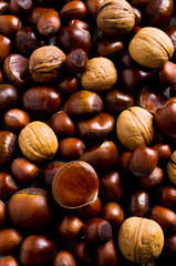 Background of various nuts