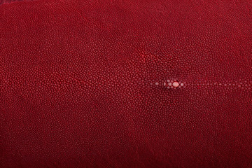stingray leather, color for background