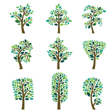 Stylized vector tree collection