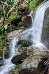 Obraz premium wallterfall in rainforest