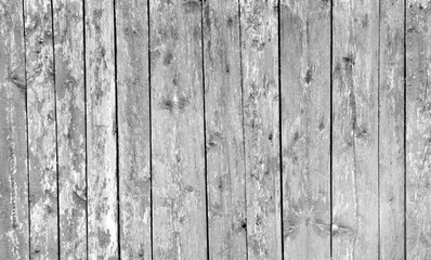 wood background