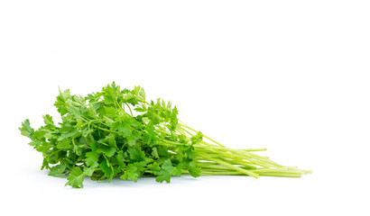 fresh parsley