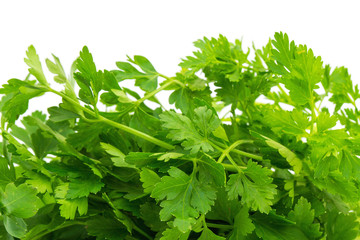 Parsley isolated on white