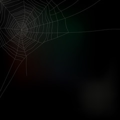 Spider web isolated on dark background, vector