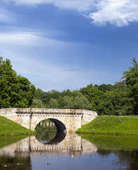 Fototapeta na wymiar The bridge over a river in park