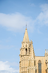 Fototapeta na wymiar Cattedrale - Palma di Maiorca