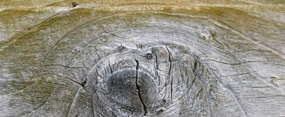 Old weathered wood background