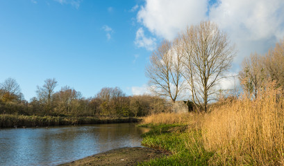 Concrete bunker hidden between wild plants and trees